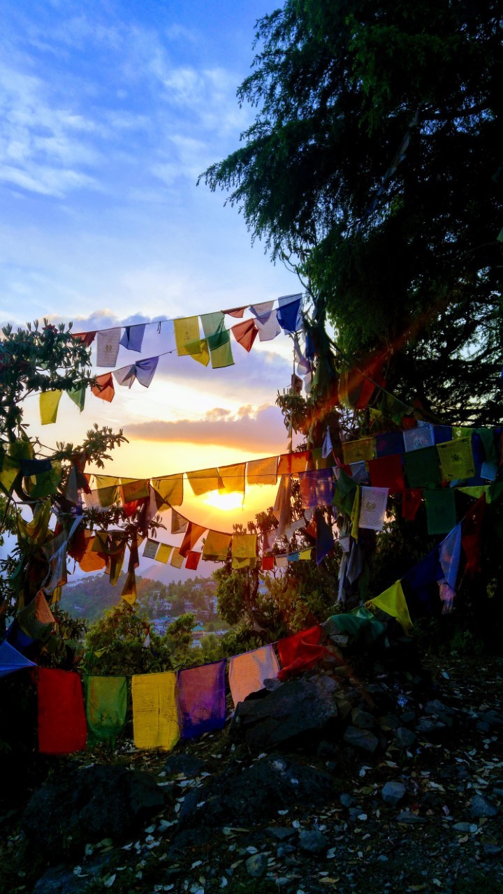Yoga in Dharamsala During the COVID-19 Pandemic