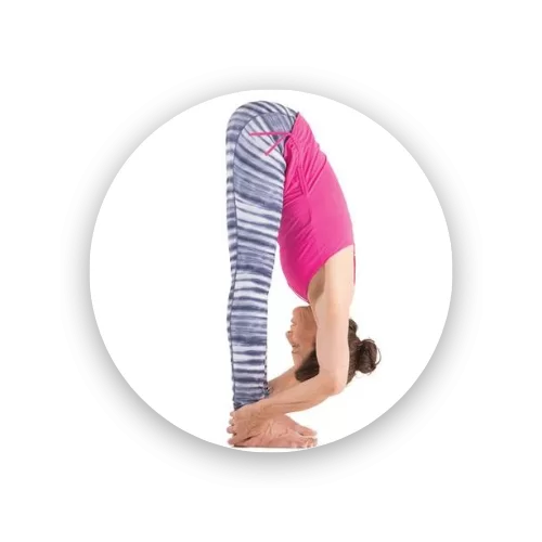 Vinyasa Yoga