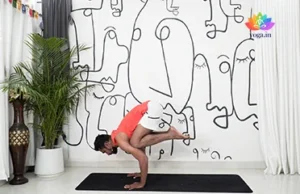Bakasana (Crane Pose)