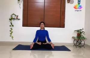 Padmasana (Lotus Pose)