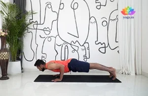 Chaturanga Dandasana (Low Plank Pose)