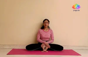 Gorakshasana (Cowherd Pose)
