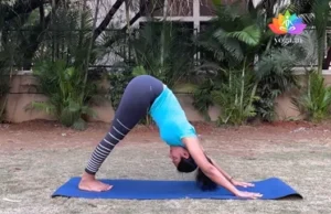 Adho Mukha Svanasana (Downward-Facing Dog Pose)