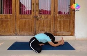 Janusirsasana (Head to Knee Pose)