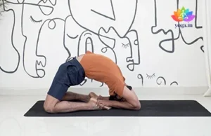 Kapotasana