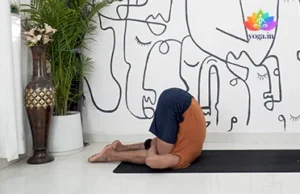 Karnapidasana (Ear Pressure Pose)
