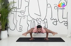 Eka Pada Koundinyasana (Sage Kaundinya’s Pose)