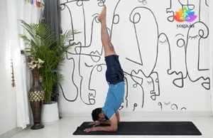 Pincha Mayurasana