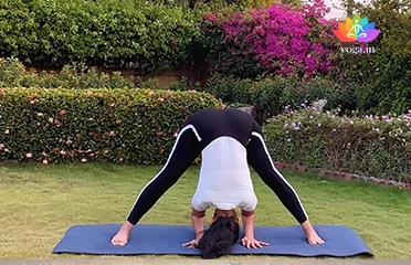 Featured image Prasaritta Padottanasana