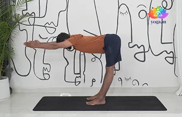 Featured image Samakonasana