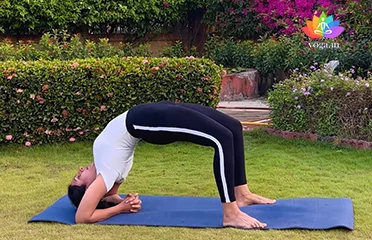 Featured image viparita dandasana
