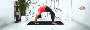 Banner Chakrasana
