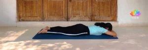 Banner Makarasana