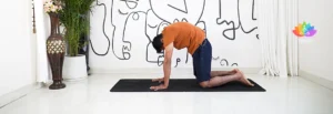 Banner Marjariasana