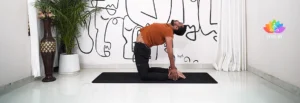 Banner Ushtrasana