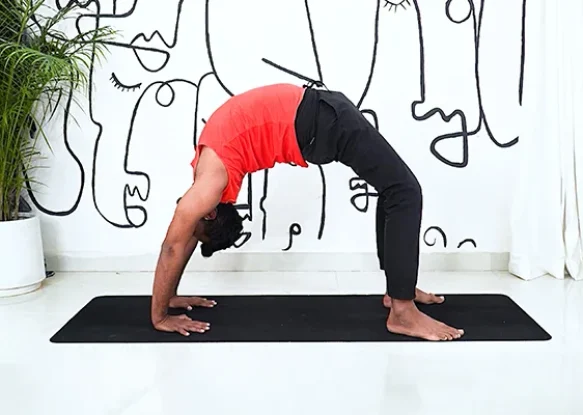 Banner Chakrasana
